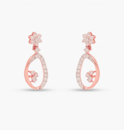 The Picturesque Earrings